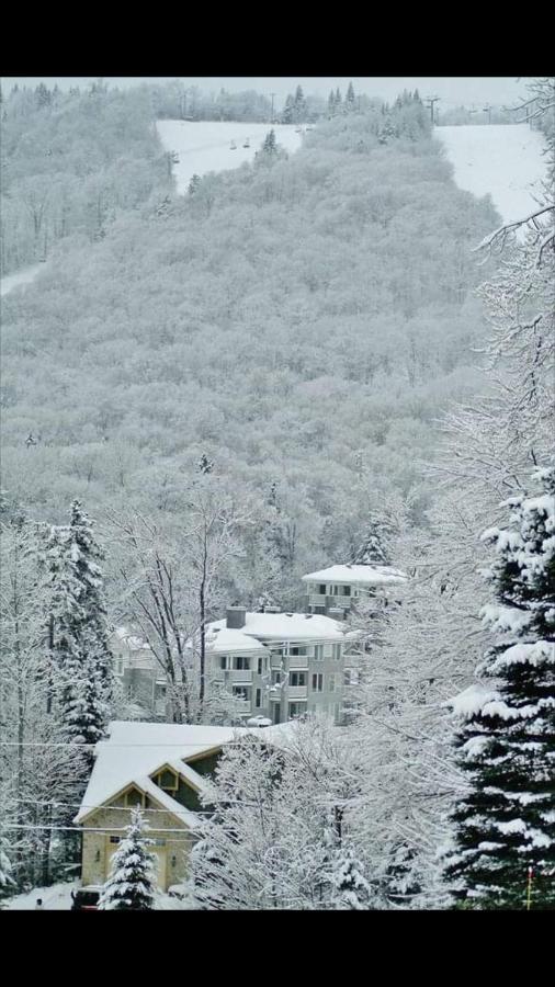 דירות סטונהם Ski-In, Ski-Out Chaleureux Studio Loft Au Pied Des Pistes De Ski מראה חיצוני תמונה